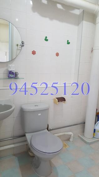 Blk 505 Jelapang Road (Bukit Panjang), HDB 5 Rooms #155092612